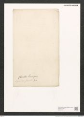 Nitzschia flexella Sur. (de-Toni-Nr.: Genus 47, Species 2100) Zeichnungen Sammlung Grunow (NHMW-BOT-W0372117)